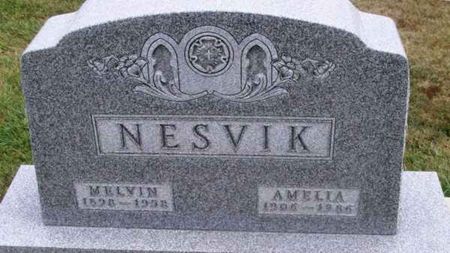 NESVIK, AMELIA - Winneshiek County, Iowa | AMELIA NESVIK 