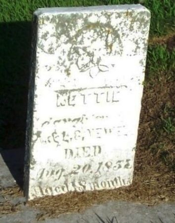 NEWEL, NETTIE - Winneshiek County, Iowa | NETTIE NEWEL 