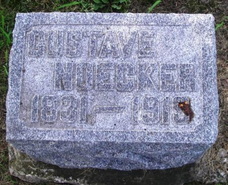NOECKER, GUSTAVE - Winneshiek County, Iowa | GUSTAVE NOECKER 
