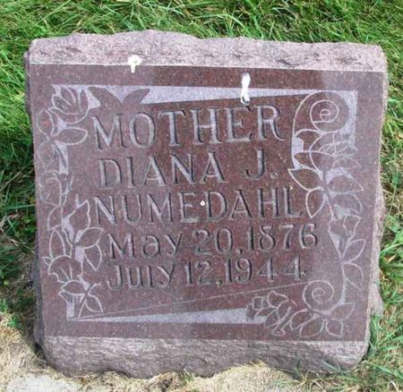 NUMEDAHL, DIANA L. - Winneshiek County, Iowa | DIANA L. NUMEDAHL 