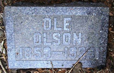 OLSON, OLE - Winneshiek County, Iowa | OLE OLSON 
