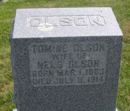 OLSON, TOMINE - Winneshiek County, Iowa | TOMINE OLSON 