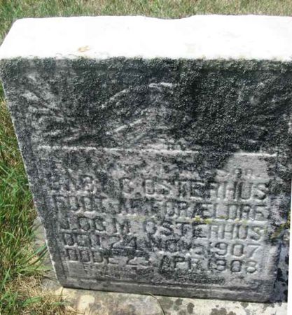 OSTERHUS, BABY C. - Winneshiek County, Iowa | BABY C. OSTERHUS 