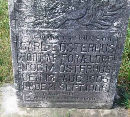 OSTERHUS, CARL E. - Winneshiek County, Iowa | CARL E. OSTERHUS 