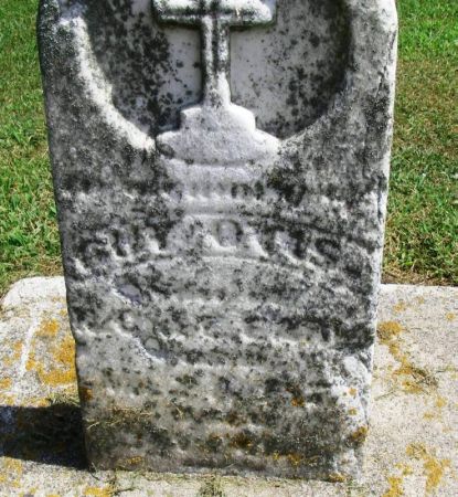 OTIS, GUY - Winneshiek County, Iowa | GUY OTIS 