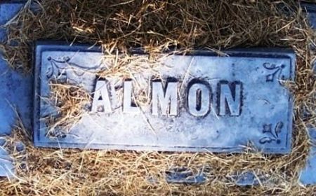 PAUL, ALMON - Winneshiek County, Iowa | ALMON PAUL 