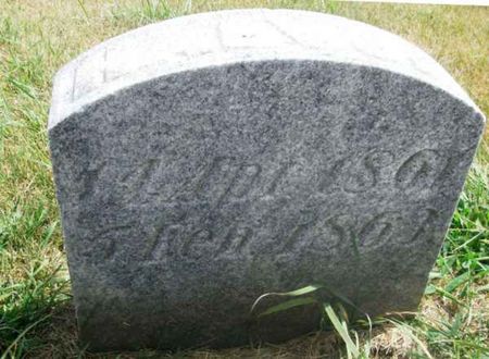 PAULSON, HALVOR - Winneshiek County, Iowa | HALVOR PAULSON 