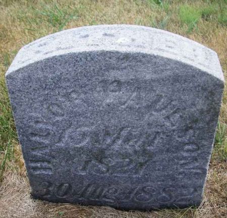 PAULSON, HALVOR - Winneshiek County, Iowa | HALVOR PAULSON 