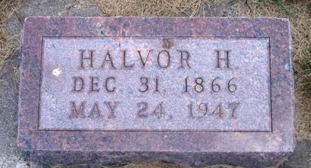 PAULSON, HALVOR H. - Winneshiek County, Iowa | HALVOR H. PAULSON 