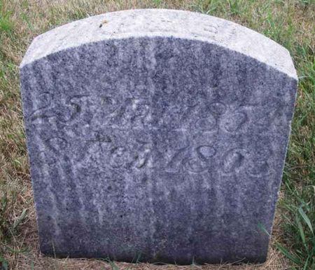 PAULSON, OLE - Winneshiek County, Iowa | OLE PAULSON 