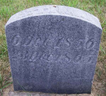 PAULSON, STINA - Winneshiek County, Iowa | STINA PAULSON 