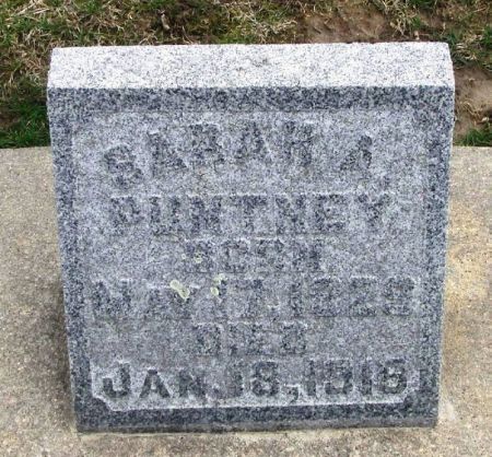 PUNTNEY, SARAH A. - Winneshiek County, Iowa | SARAH A. PUNTNEY 