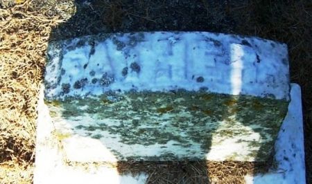 RANKIN, FATHER - Winneshiek County, Iowa | FATHER RANKIN 