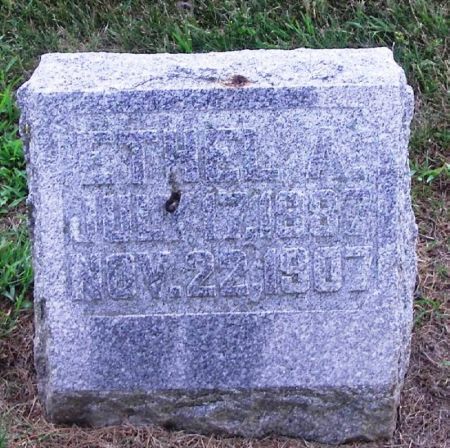 REED, ETHEL A. - Winneshiek County, Iowa | ETHEL A. REED 