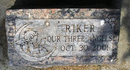 RIKER, TRIPLETS - Winneshiek County, Iowa | TRIPLETS RIKER 