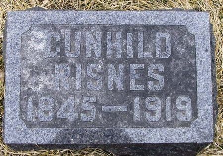 RISNES, GUNHILD - Winneshiek County, Iowa | GUNHILD RISNES 