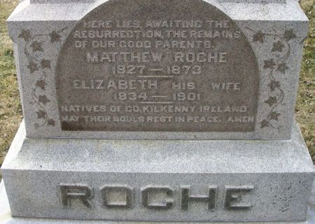 ROCHE, MATTHEW - Winneshiek County, Iowa | MATTHEW ROCHE 