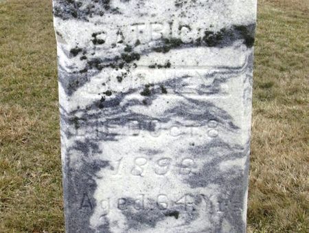 ROONEY, PATRICK - Winneshiek County, Iowa | PATRICK ROONEY 