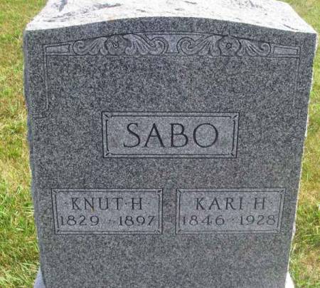 SABO, KARI H. - Winneshiek County, Iowa | KARI H. SABO 