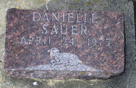 SAUER, DANIELLE - Winneshiek County, Iowa | DANIELLE SAUER 