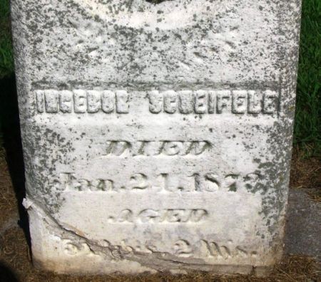 SCHEIFELE, INGEBOR - Winneshiek County, Iowa | INGEBOR SCHEIFELE 