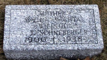 SCHNEBERGER, SOPHIA - Winneshiek County, Iowa | SOPHIA SCHNEBERGER 