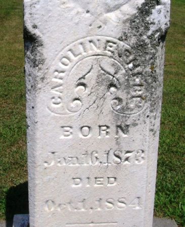 SCHUSTER, CAROLINE PHEBE - Winneshiek County, Iowa | CAROLINE PHEBE SCHUSTER 