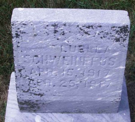 SCHWEINEFUS, LUELLA - Winneshiek County, Iowa | LUELLA SCHWEINEFUS 
