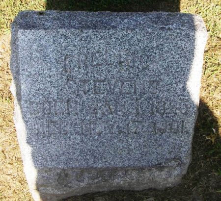 STEVENS, FREDERICK - Winneshiek County, Iowa | FREDERICK STEVENS 