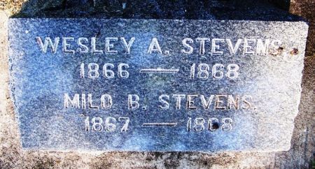 STEVENS, MILO B. - Winneshiek County, Iowa | MILO B. STEVENS 