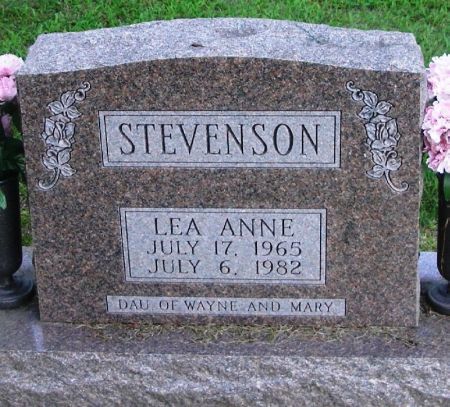 STEVENSON, LEA ANNE - Winneshiek County, Iowa | LEA ANNE STEVENSON 
