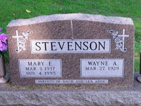 STEVENSON, MARY E. - Winneshiek County, Iowa | MARY E. STEVENSON 