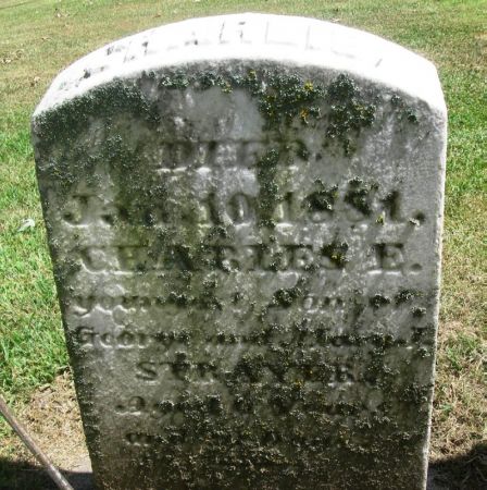 STRAYER, CHARLES E. - Winneshiek County, Iowa | CHARLES E. STRAYER 