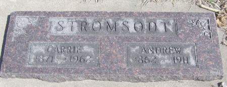 STROMSODT, CARRIE - Winneshiek County, Iowa | CARRIE STROMSODT 