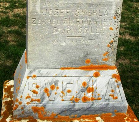 SVEHLA, JOSEF - Winneshiek County, Iowa | JOSEF SVEHLA 