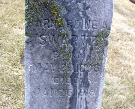 SWARTZ, BARNARDINE A. - Winneshiek County, Iowa | BARNARDINE A. SWARTZ 