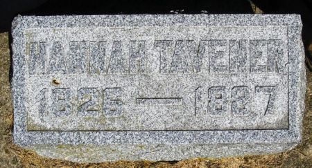 TAVENER, HANNAH - Winneshiek County, Iowa | HANNAH TAVENER 