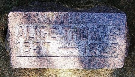 THOMAS, ALICE - Winneshiek County, Iowa | ALICE THOMAS 
