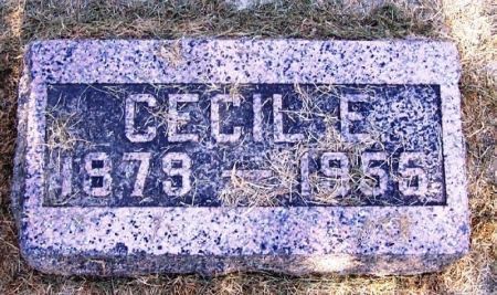 THOMAS, CECIL E. - Winneshiek County, Iowa | CECIL E. THOMAS 