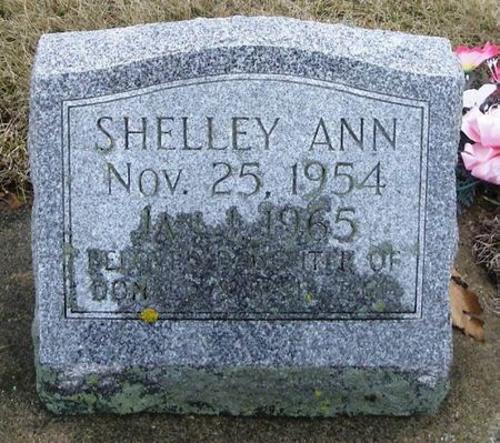 TIMP, SHELLEY ANN - Winneshiek County, Iowa | SHELLEY ANN TIMP 