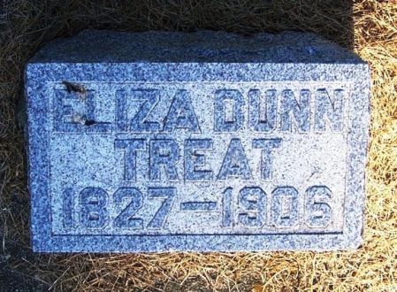 DUNN TREAT, ELIZA - Winneshiek County, Iowa | ELIZA DUNN TREAT 