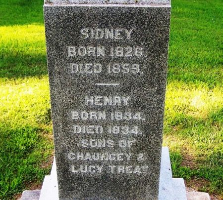 TREAT, HENRY - Winneshiek County, Iowa | HENRY TREAT 