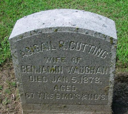 VAUGHAN, ABIGAIL P. - Winneshiek County, Iowa | ABIGAIL P. VAUGHAN 