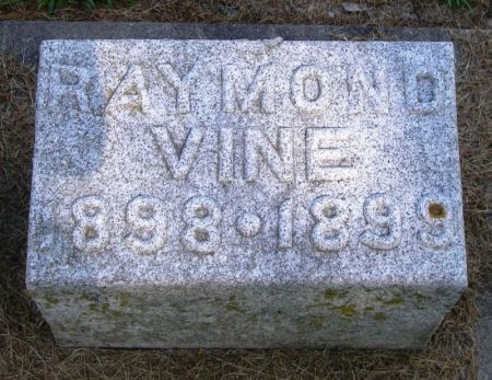 VINE, RAYMOND - Winneshiek County, Iowa | RAYMOND VINE 