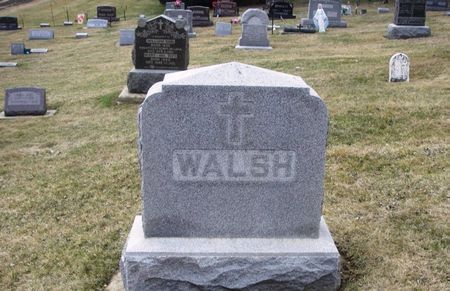 WALSH, ANDREW T. FAMILY STONE - Winneshiek County, Iowa | ANDREW T. FAMILY STONE WALSH 