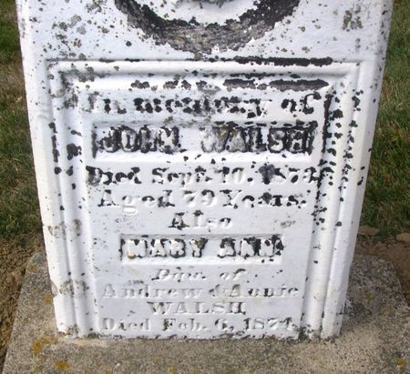 WALSH, MARY ANN - Winneshiek County, Iowa | MARY ANN WALSH 