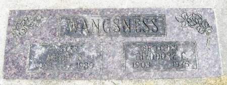 WANGSNESS, THEODORE C. - Winneshiek County, Iowa | THEODORE C. WANGSNESS 
