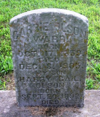 WARD, CARRIE - Winneshiek County, Iowa | CARRIE WARD 