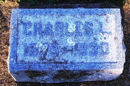 WARD, CHARLES L. - Winneshiek County, Iowa | CHARLES L. WARD 