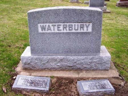 WATERBURY, EDWIN A. FAMILY STONE - Winneshiek County, Iowa | EDWIN A. FAMILY STONE WATERBURY 